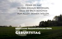 Geburtstagspostkarte Wiese