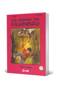 Das Geheimnis der Falkenburg