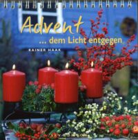 Advent - dem Licht entgegen