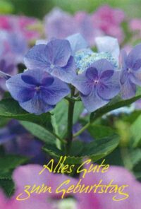 Tisch-Leporello-Karte-Alles Gute zum Geburtstag - aus 96050/6