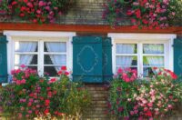 Faltkarte aus Fenster 98336 - quer Fensterläden bemalt